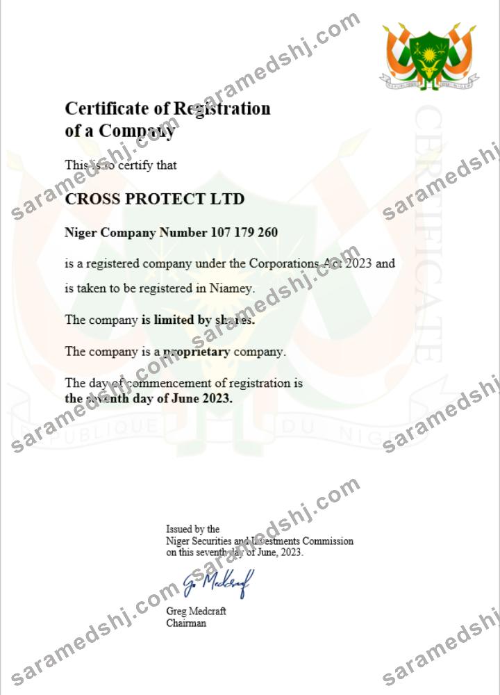 Niger business registration certificate Word and PDF template